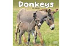 Plenty gifts Kalender 27 donkeys as