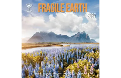 Plenty gifts Kalender 27 fragile earth ton pg