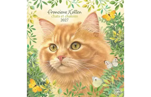 Plenty gifts Kalender 27 franciens katten pgc