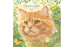 Plenty gifts Kalender 27 franciens katten pgc