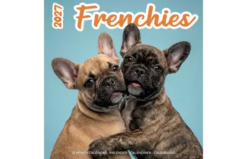 Plenty gifts Kalender 27 frenchies studio pg