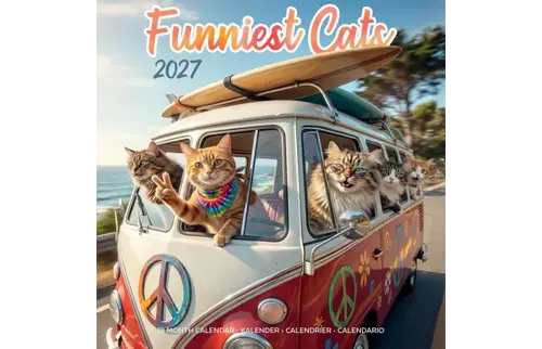 Plenty gifts Kalender 27 funniest cats pg