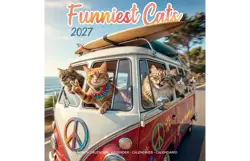 Plenty gifts Kalender 27 funniest cats pg