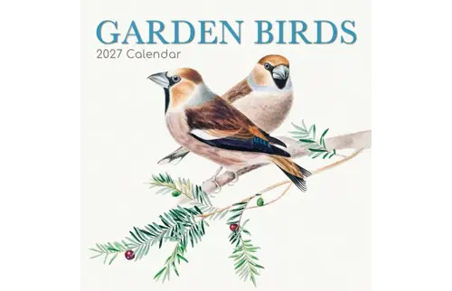 Plenty gifts Kalender 27 garden birds gtd