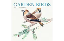 Plenty gifts Kalender 27 garden birds gtd