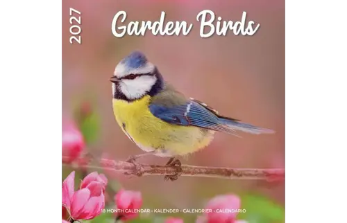 Plenty gifts Kalender 27 garden birds pg