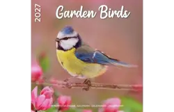 Plenty gifts Kalender 27 garden birds pg