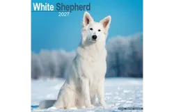 Plenty gifts Kalender 27 germ.sheph.white as