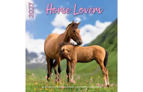 Plenty gifts Kalender 27 horse lovers pg