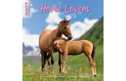 Plenty gifts Kalender 27 horse lovers pg