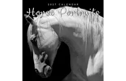 Plenty gifts Kalender 27 horse portraits gtd