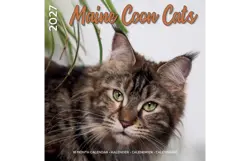 Plenty gifts Kalender 27 maine coon cats pg