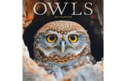 Plenty gifts Kalender 27 owls as