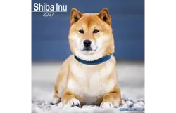 Plenty gifts Kalender 27 shiba inu as