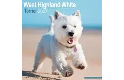 Plenty gifts Kalender 27 west hw terriers as