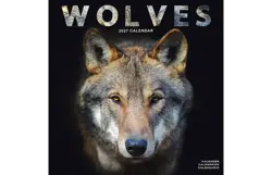 Plenty gifts Kalender 27 wolves as