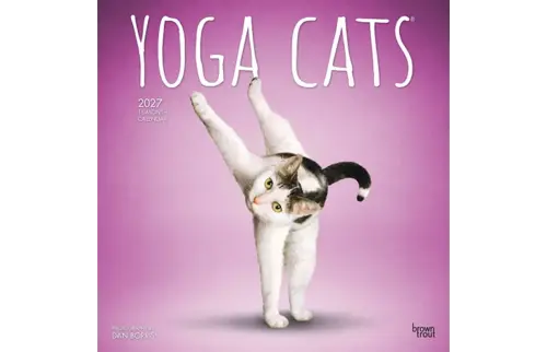 Plenty gifts Kalender 27 yoga cats bt