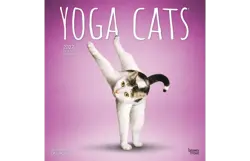 Plenty gifts Kalender 27 yoga cats bt