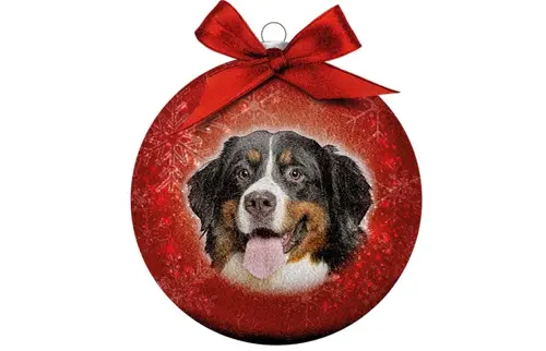 Plenty gifts Kerstbal xmas frosted bernese