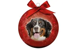 Plenty gifts Kerstbal xmas frosted bernese