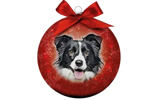 Plenty gifts Kerstbal xmas frosted bordercollie