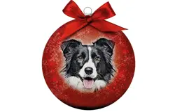 Plenty gifts Kerstbal xmas frosted bordercollie