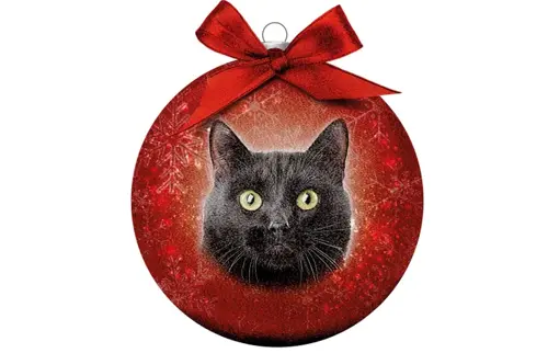 Plenty gifts Kerstbal xmas frosted cat black