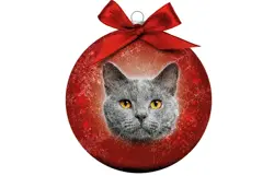 Plenty gifts Kerstbal xmas frosted cat grey