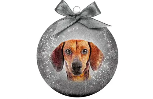 Plenty gifts Kerstbal xmas frosted dachshund