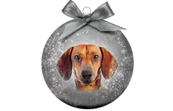 Plenty gifts Kerstbal xmas frosted dachshund