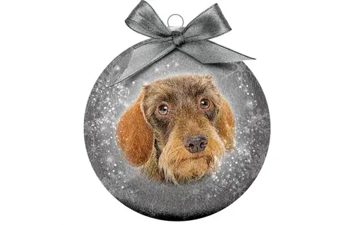 Plenty gifts Kerstbal xmas frosted dachshund wire