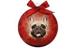 Plenty gifts Kerstbal xmas frosted french bulldog