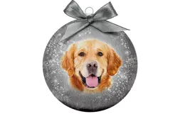 Plenty gifts Kerstbal xmas frosted golden retr.