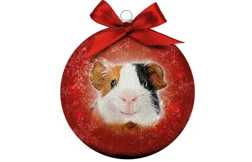 Plenty gifts Kerstbal xmas frosted guinea pig