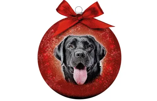 Plenty gifts Kerstbal xmas frosted labrador