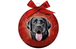 Plenty gifts Kerstbal xmas frosted labrador