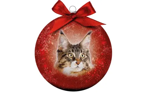 Plenty gifts Kerstbal xmas frosted main coon
