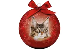 Plenty gifts Kerstbal xmas frosted main coon