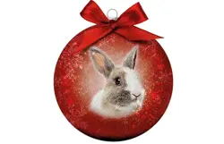 Plenty gifts Kerstbal xmas frosted rabbit