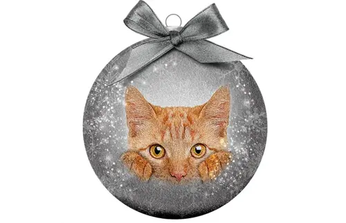 Plenty gifts Kerstbal xmas frosted red cat