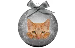 Plenty gifts Kerstbal xmas frosted red cat