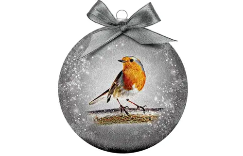 Plenty gifts Kerstbal xmas frosted robin