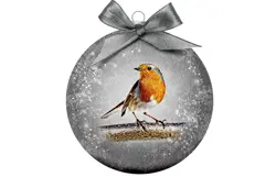 Plenty gifts Kerstbal xmas frosted robin