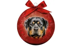 Plenty gifts Kerstbal xmas frosted rottweiler
