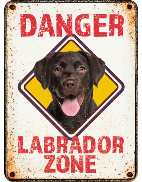 Plenty gifts Magneet danger labrador zone