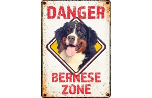 Plenty gifts Sign metal danger bernese zone (v)