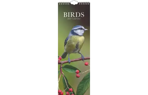 Plenty gifts Slimline kalender 27 birds gtd