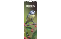 Plenty gifts Slimline kalender 27 birds gtd