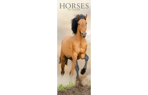 Plenty gifts Slimline kalender 27 horses pfp as