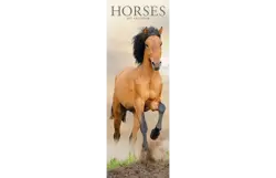 Plenty gifts Slimline kalender 27 horses pfp as
